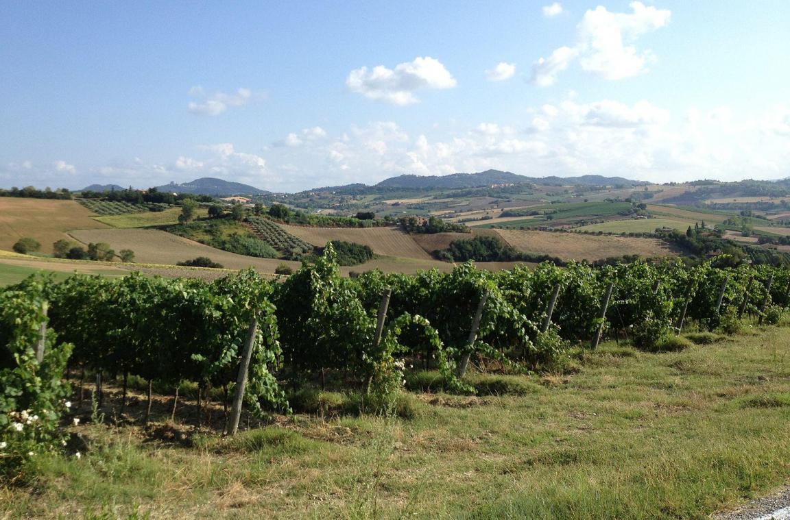 Le sette facce della coca – San Patrignano