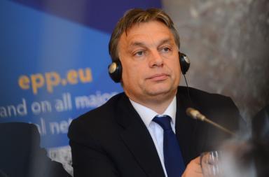 Orban (Flickr.com, CC BY 2.0 , via Wikimedia Commons)